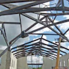 1174402549768 10298776