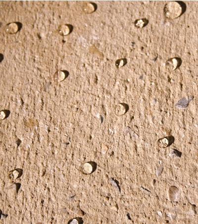 W1000 10082296