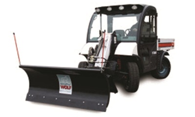 Snowwolf Pro Series Plow 10767869