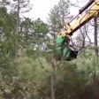 Video: Valley Tool Rockhound FX36 Defender Forestry Mulcher In Action