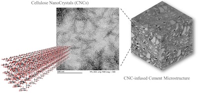 Purdue University researchers are ready to test whether they can make a stronger bridge by using concrete infused with microscopic nanocrystals from wood. The researchers have been working with cellulose nanocrystals, byproducts generated by the paper, bioenergy, agriculture and pulp industries.