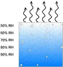 What Is Moisture Content in Concrete & Why It Matters