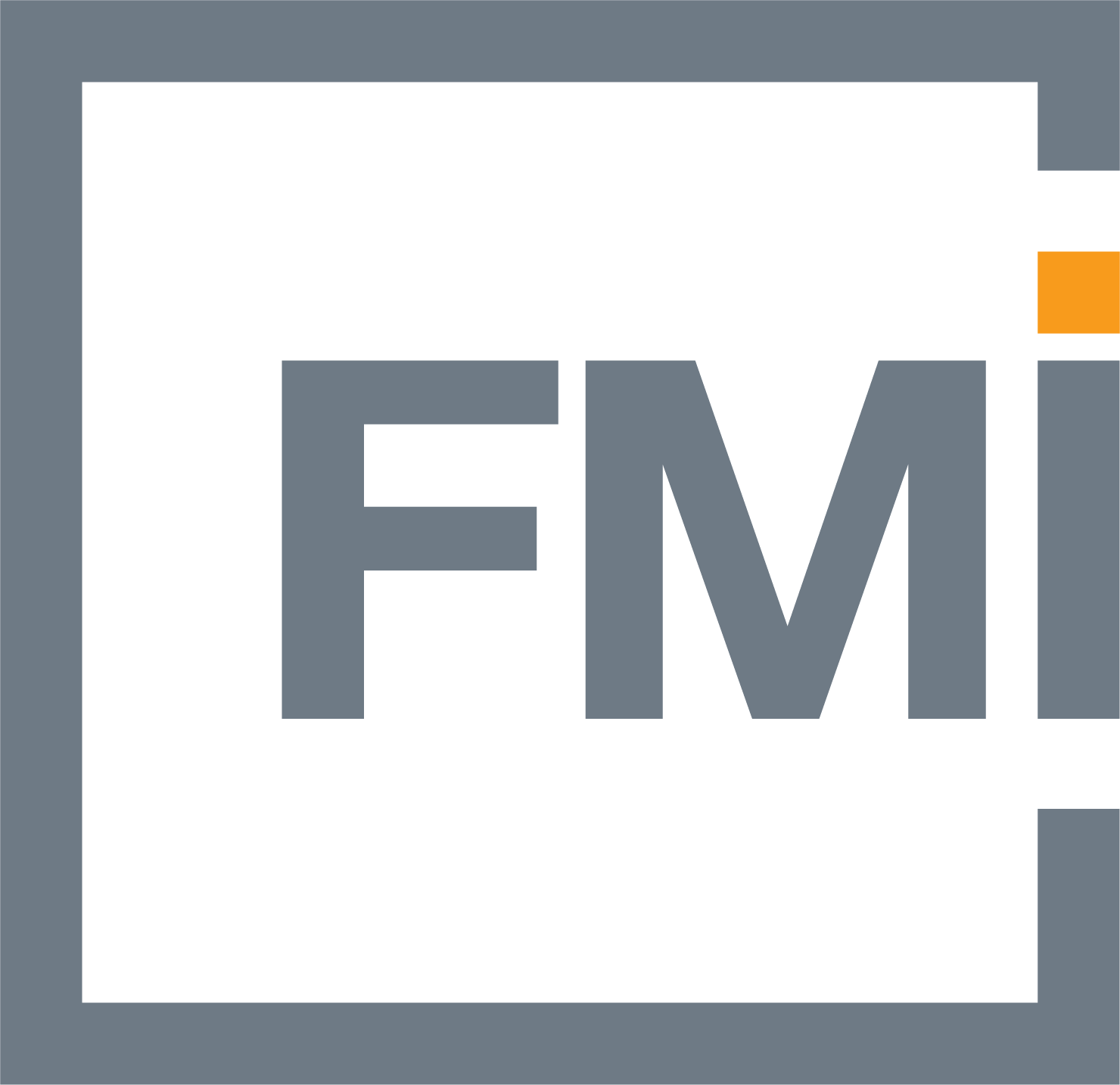 Fmi20 Corporation Color