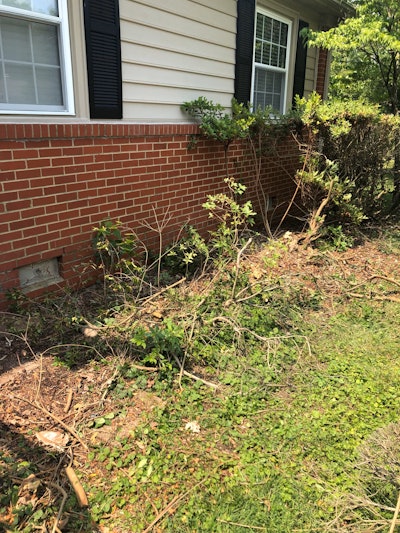 Southern Sun Landscaping had a residential client who needed four to five stumps removed from the yard.