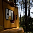 Cat Image