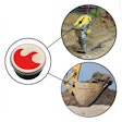 With the FleetWatcher User App, users can search for an individual asset, see a group of assets on a specific project or look at all assets in a certain class.