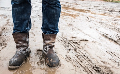 Eh muck boots cheap