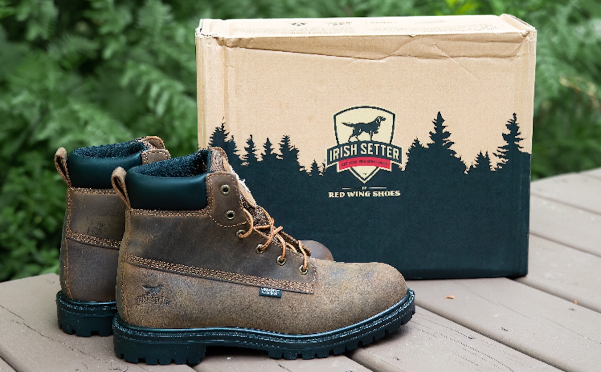 Irish setter hopkins top