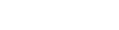 Dde12299
