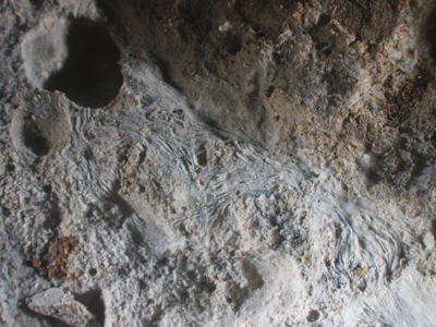 Crystalline waterproofing admixtures react within the concrete to block water pathways and self-heal microcracks, providing long-term durability from the inside out.