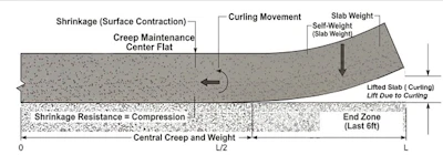 Figure c. Real curl shape: flat center, curvature concentrated at edges due to creep and gravity.