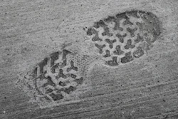 Two footprints pressed into wet concrete or asphalt surface